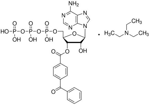 2-3-(4-苯甲酰苯甲酰)腺苷5-三磷酸三乙铵盐