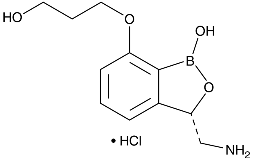 AN3365 (hydrochloride)