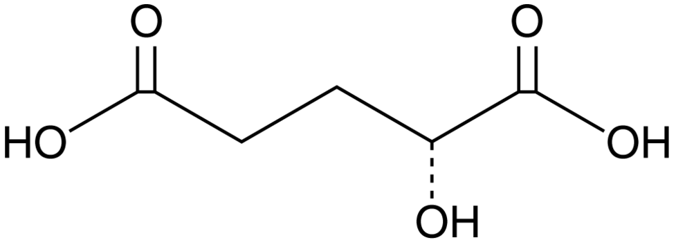 D-α-Hydroxyglutaric Acid (solution in ethanol)