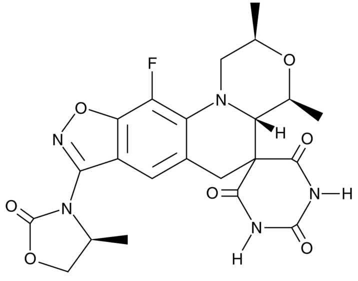 Zoliflodacin
