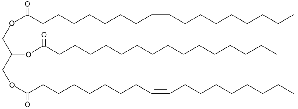 1,3-Dioleoyl-2-Palmitoyl Glycerol
