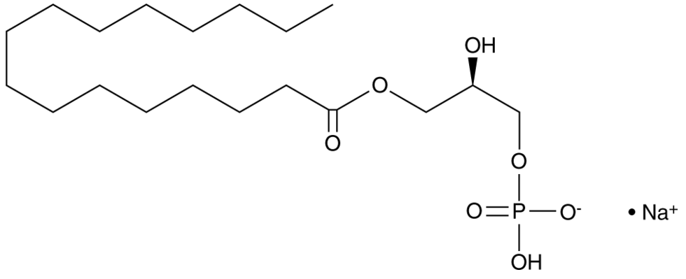1-Palmitoyl Lysophosphatidic Acid (sodium salt)