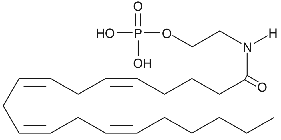 Arachidonoyl Ethanolamide Phosphate(solution in ethanol)