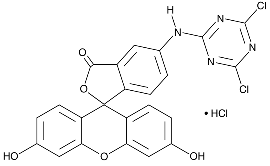 5-(4,6-Dichloro-s-triazin-2-ylamino)fluorescein (hydrochloride)