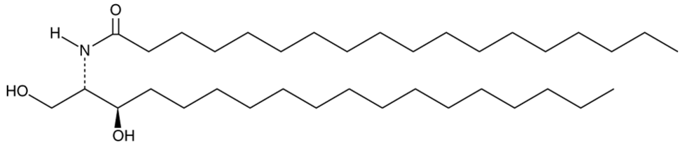 C18 dihydro Ceramide (d18:0/18:0)