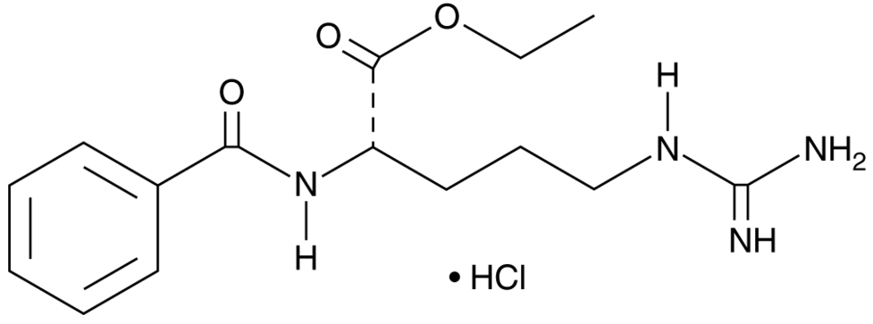 N-α-Benzoyl-L-Arginine ethyl ester (hydrochloride)