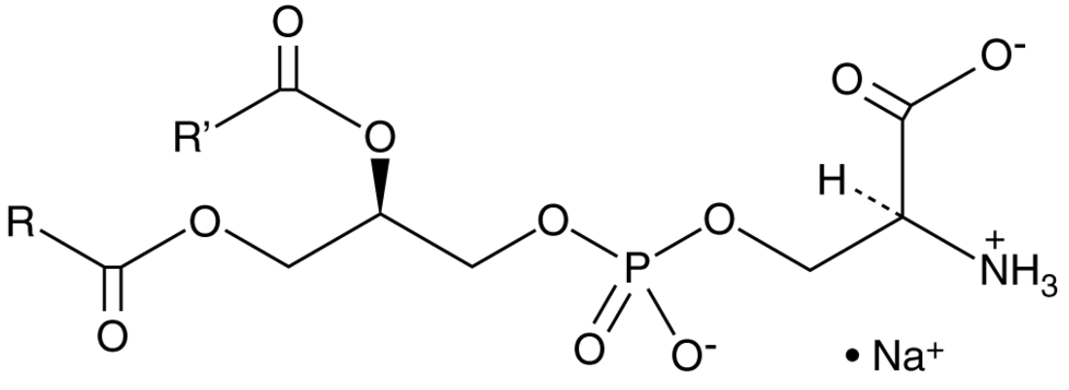 Phosphatidylserines (soy) (sodium salt)