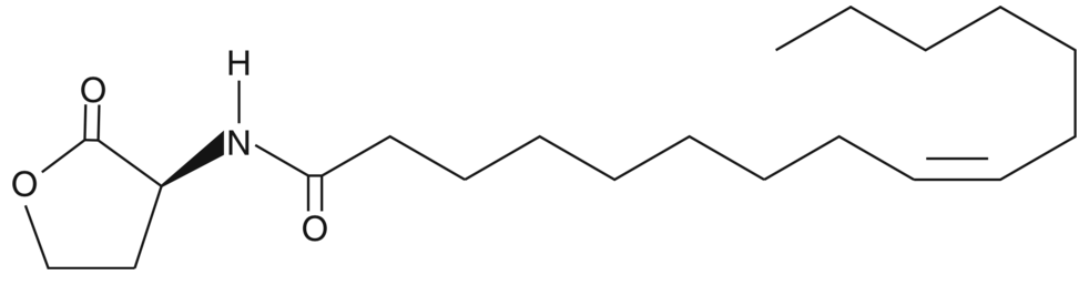 N-cis-hexadec-9Z-enoyl-L-Homoserine lactone
