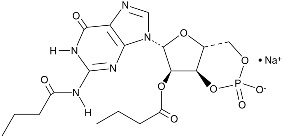 Dibutyryl-Cyclic GMP (sodium salt)