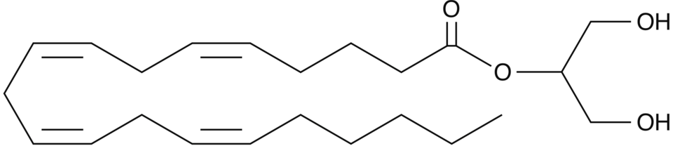 ★2-花生酰基甘油(solution in acetonitrile)