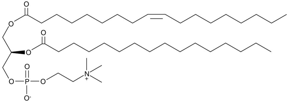 1-Oleoyl-2-palmitoyl-sn-glycero-3-PC