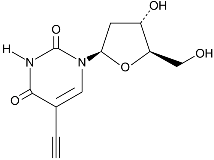 5-Ethynyl-2'-deoxyuridine (5-EdU)