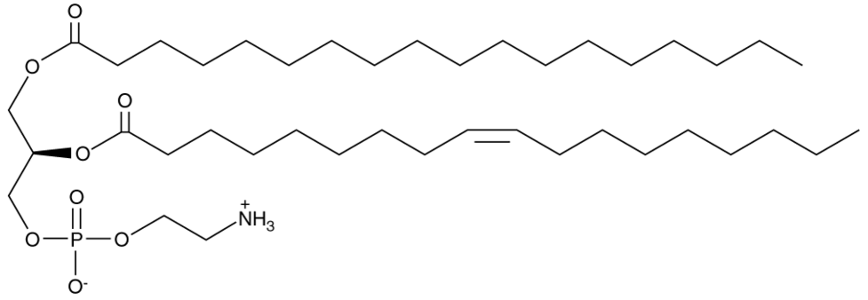 1-Stearoyl-2-Oleoyl-sn-glycero-3-PE