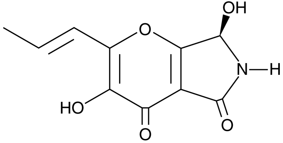 Pyranonigrin A