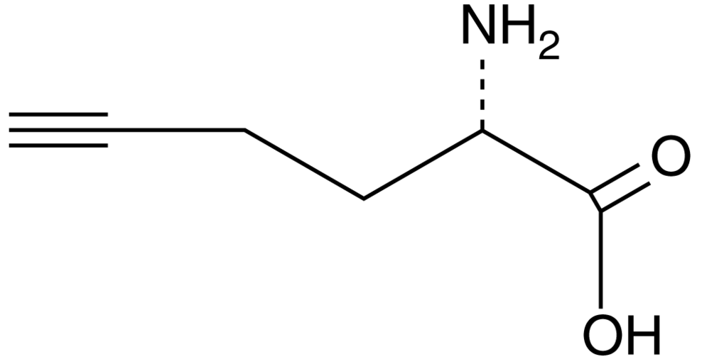 L-Homopropargyl Glycine