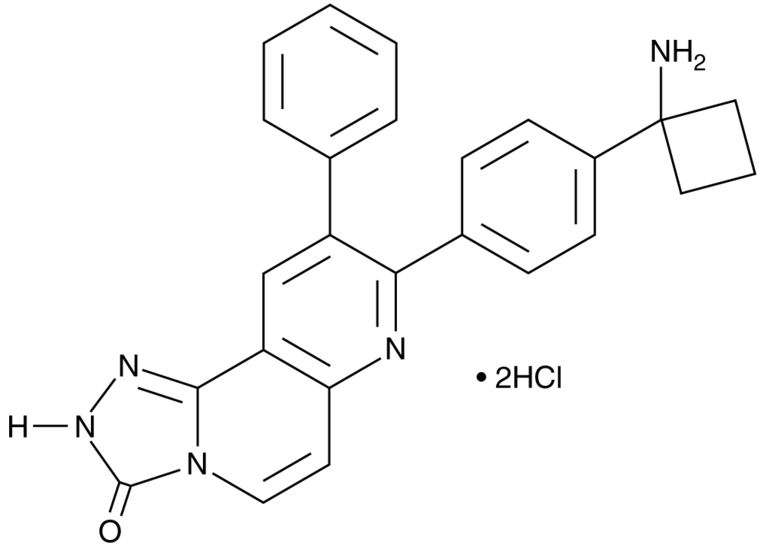 MK-2206 2HCl