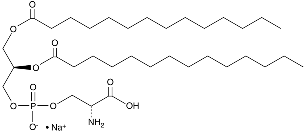 1,2-Dimyristoyl-sn-glycero-3-PS (sodium salt)