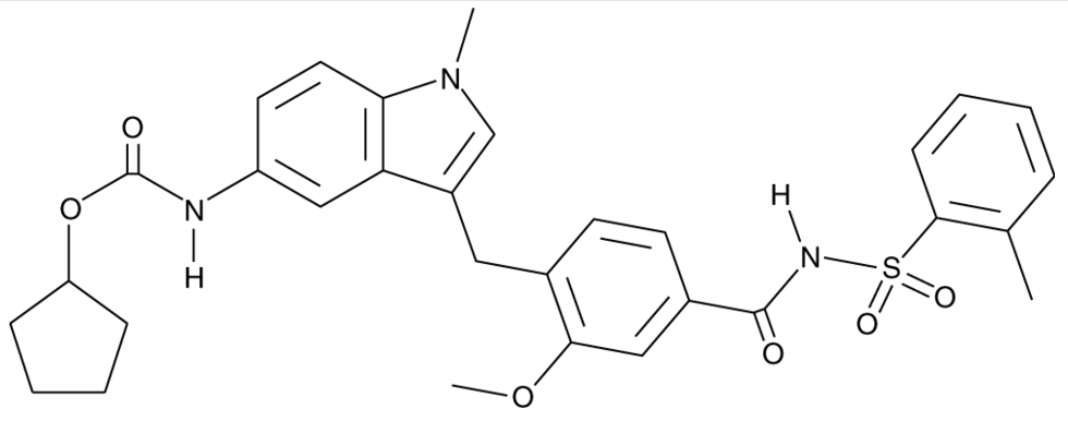 扎鲁司特