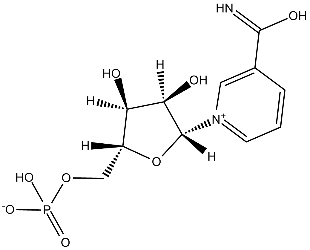 烟酰胺单核苷酸
