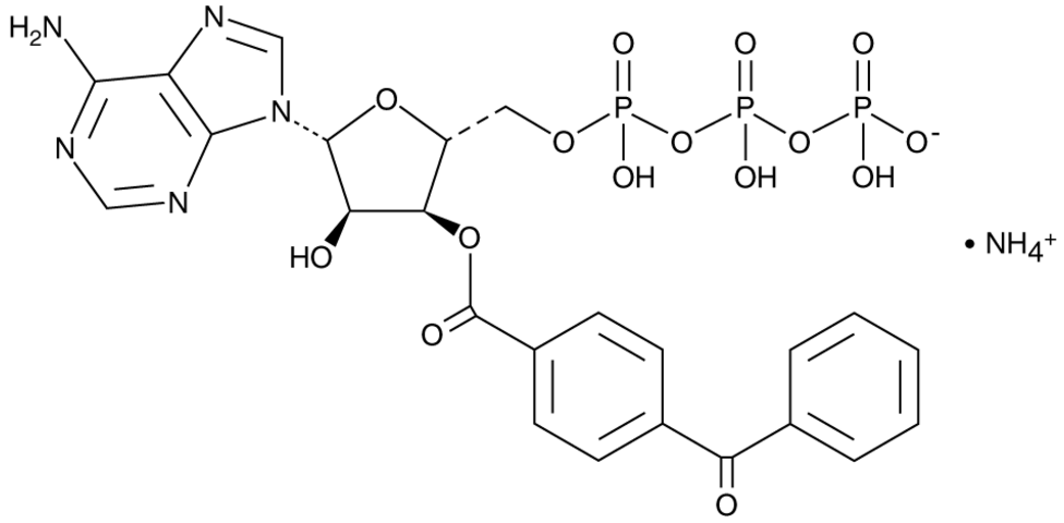 BzATP (ammonium salt)