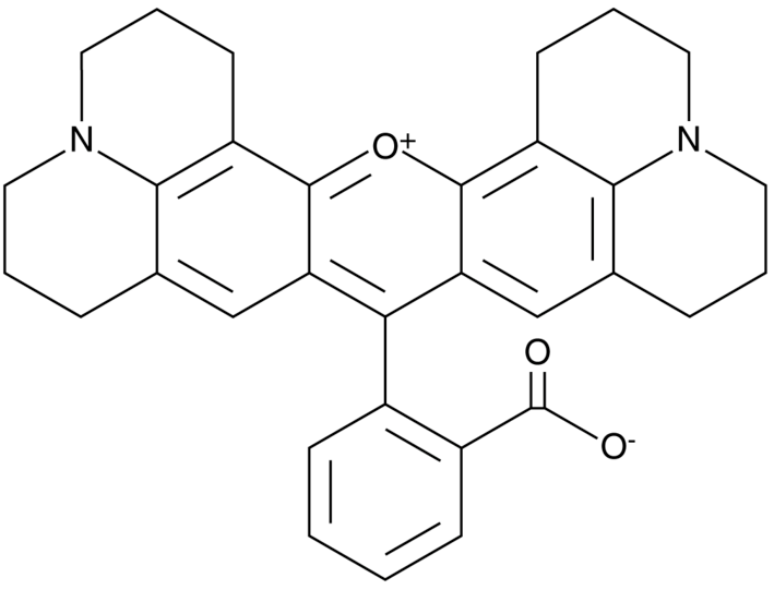 Rhodamine 101 (inner salt)