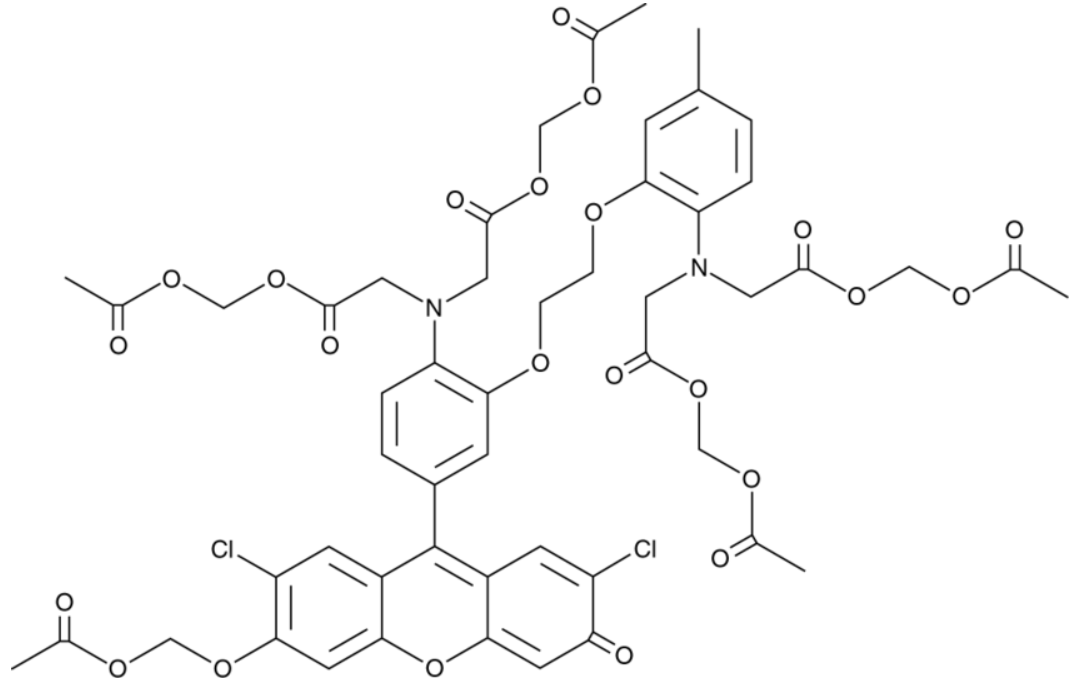 钙离子荧光探针Fluo-3 AM