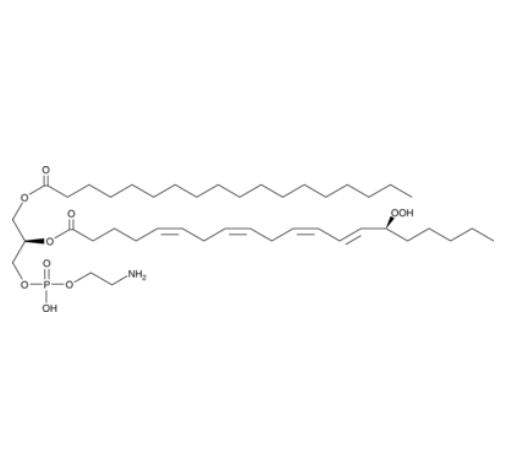 1-Stearoyl-2-15(S)-HpETE-sn-glycero-3-PE