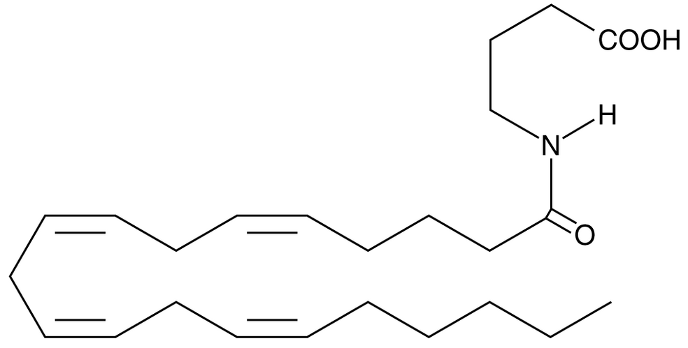 N-Arachidonoyl-γ-Aminobutyric Acid
