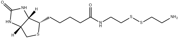 生物素半胱胺