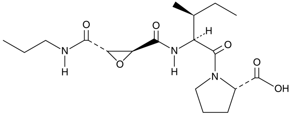 CA 074