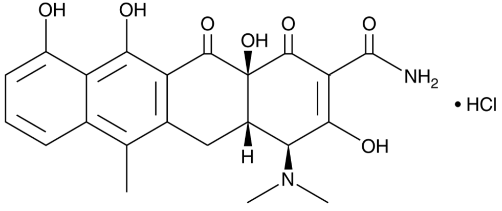 Anhydrotetracycline (hydrochloride)