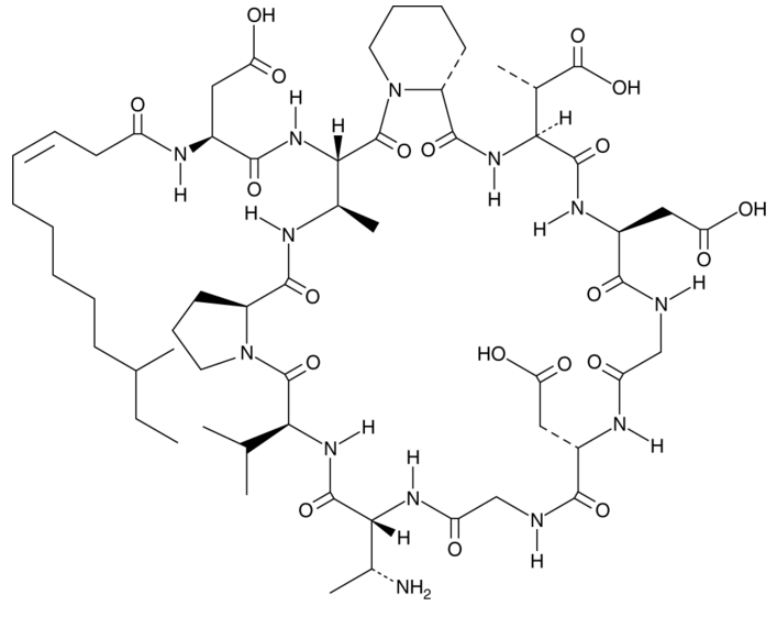 Amphomycin