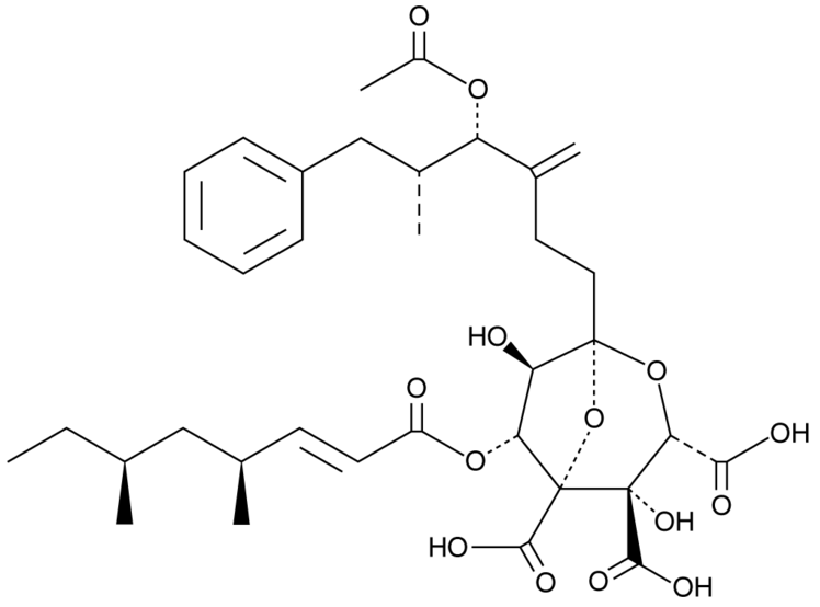 Zaragozic Acid A