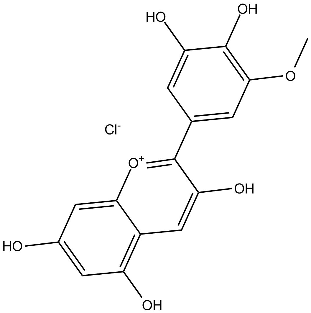 Petunidin (chloride)
