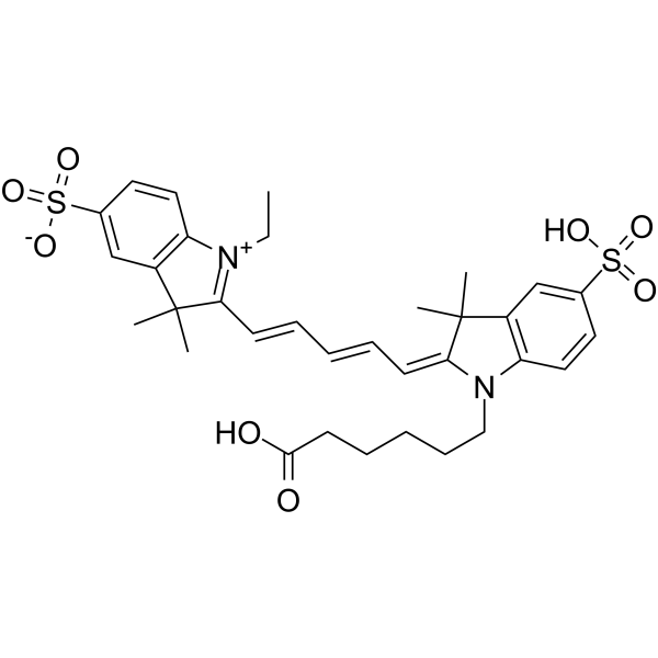 Cy5