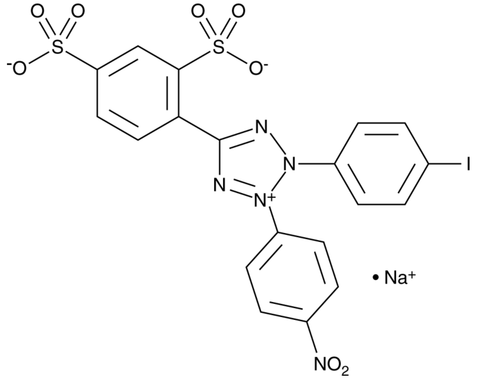 WST-1