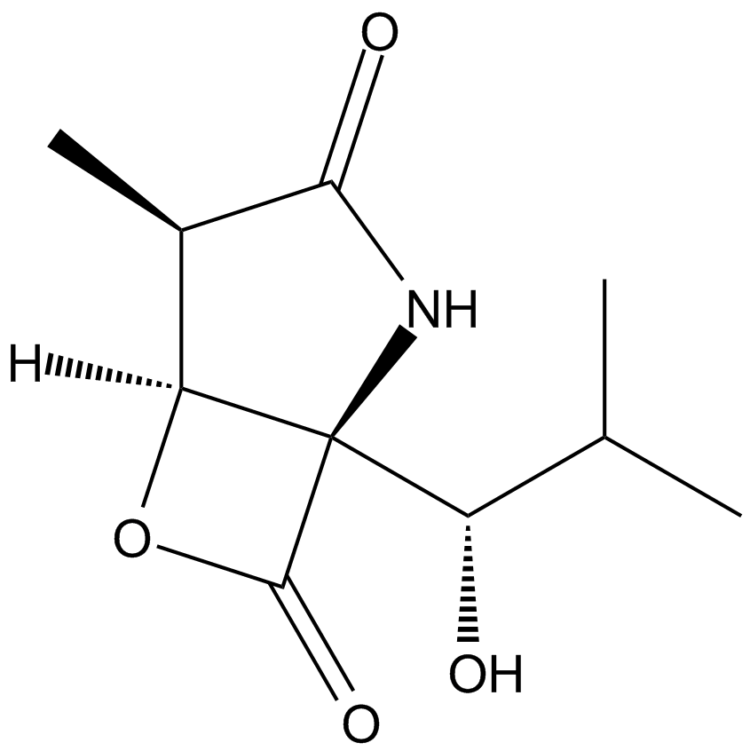 Clasto-Lactacystin β-lactone (solution in methyl acetate)