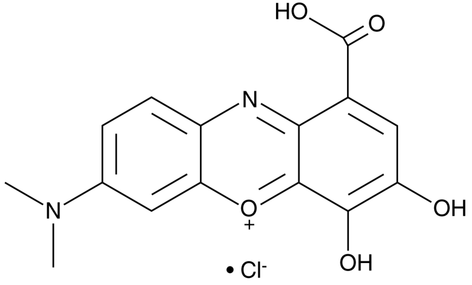 Gallocyanine