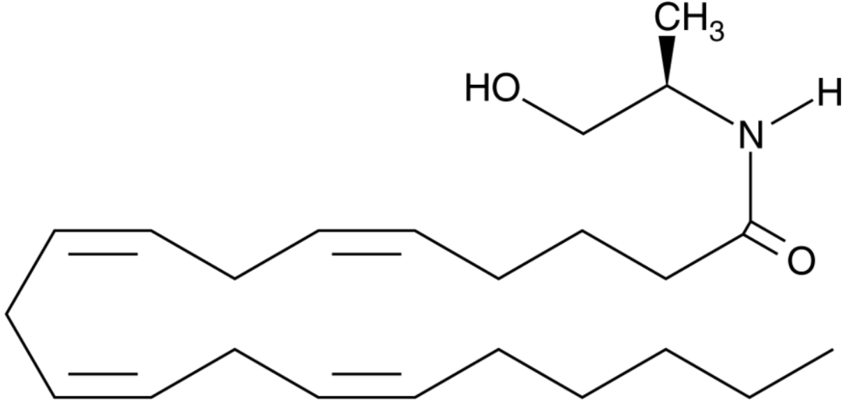 R-1 Methanandamide (solution in ethanol)