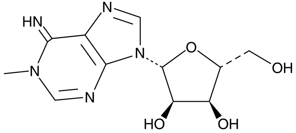 1-methyl Adenosine