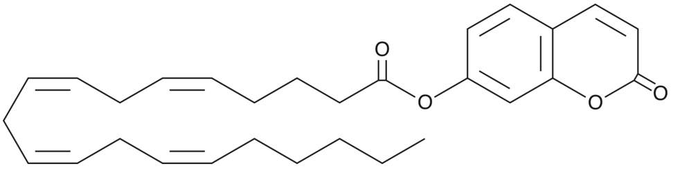 7-hydroxycoumarinyl Arachidonate