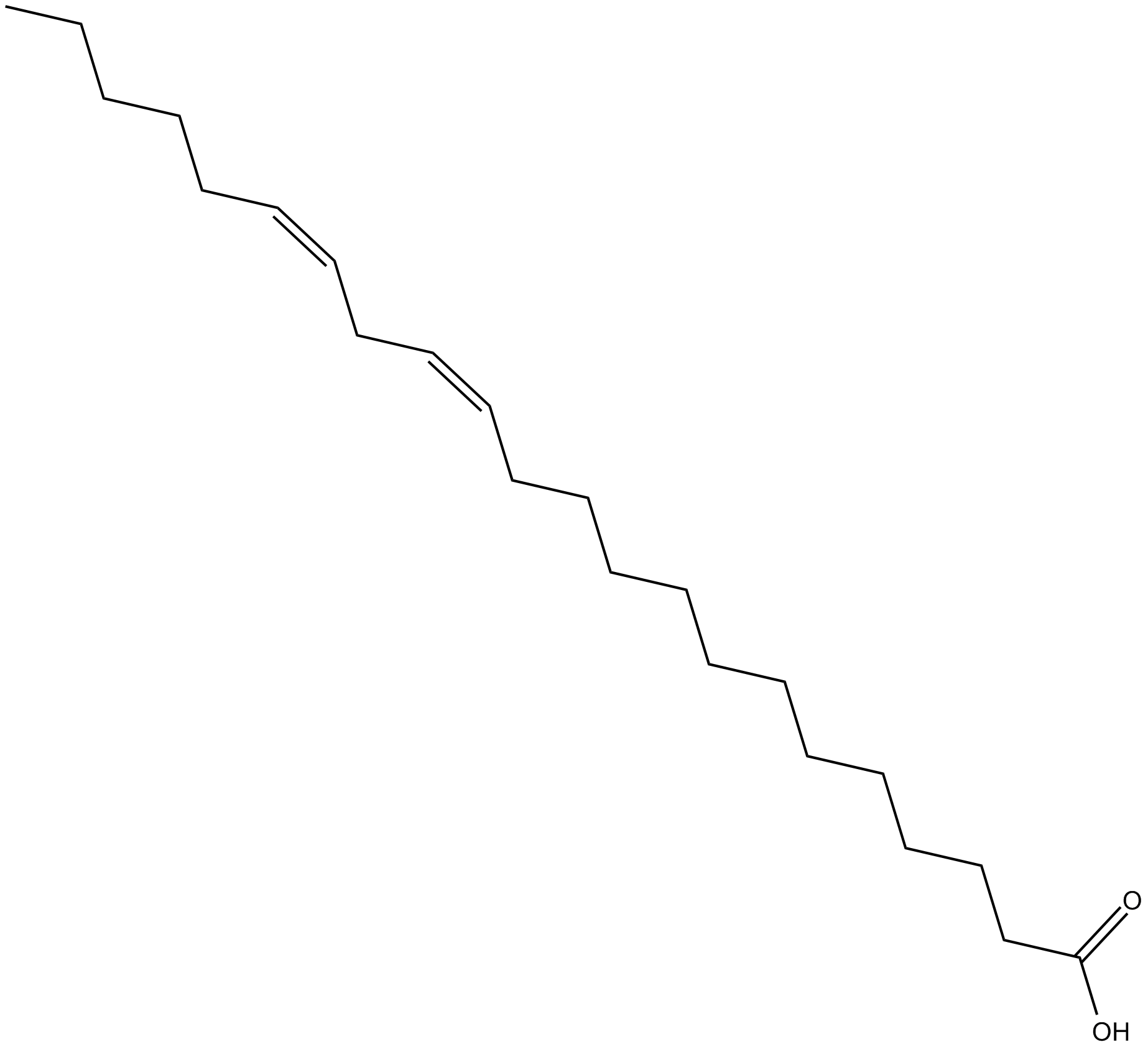 13Z,16Z-Docosadienoic Acid (solution in ethanol)