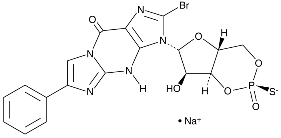 Rp-8-Br-PET-cGMPS