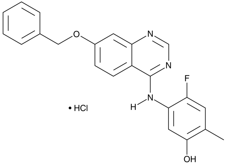 ZM 323881 (hydrochloride)