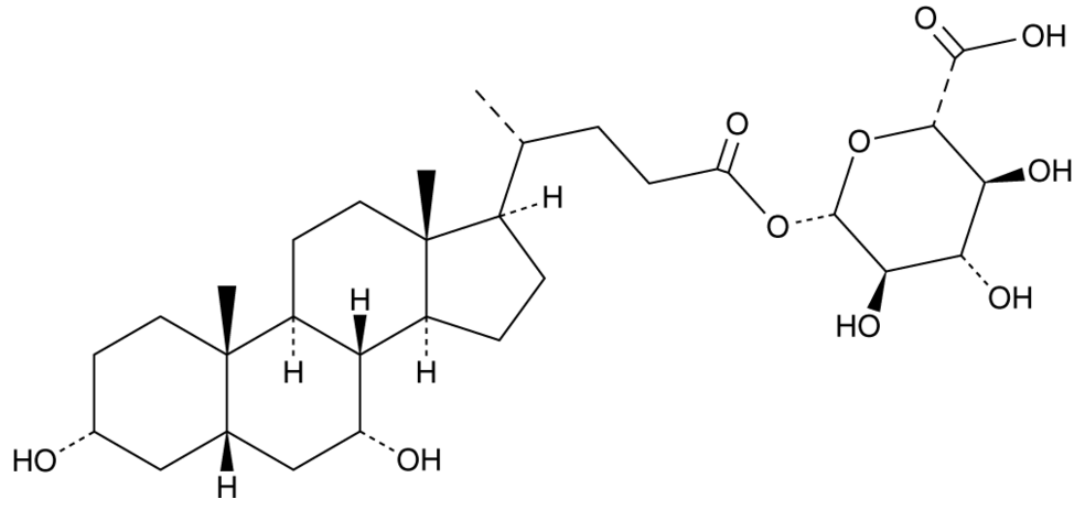 Chenodeoxycholic Acid 24-Acyl-β-D-Glucuronide
