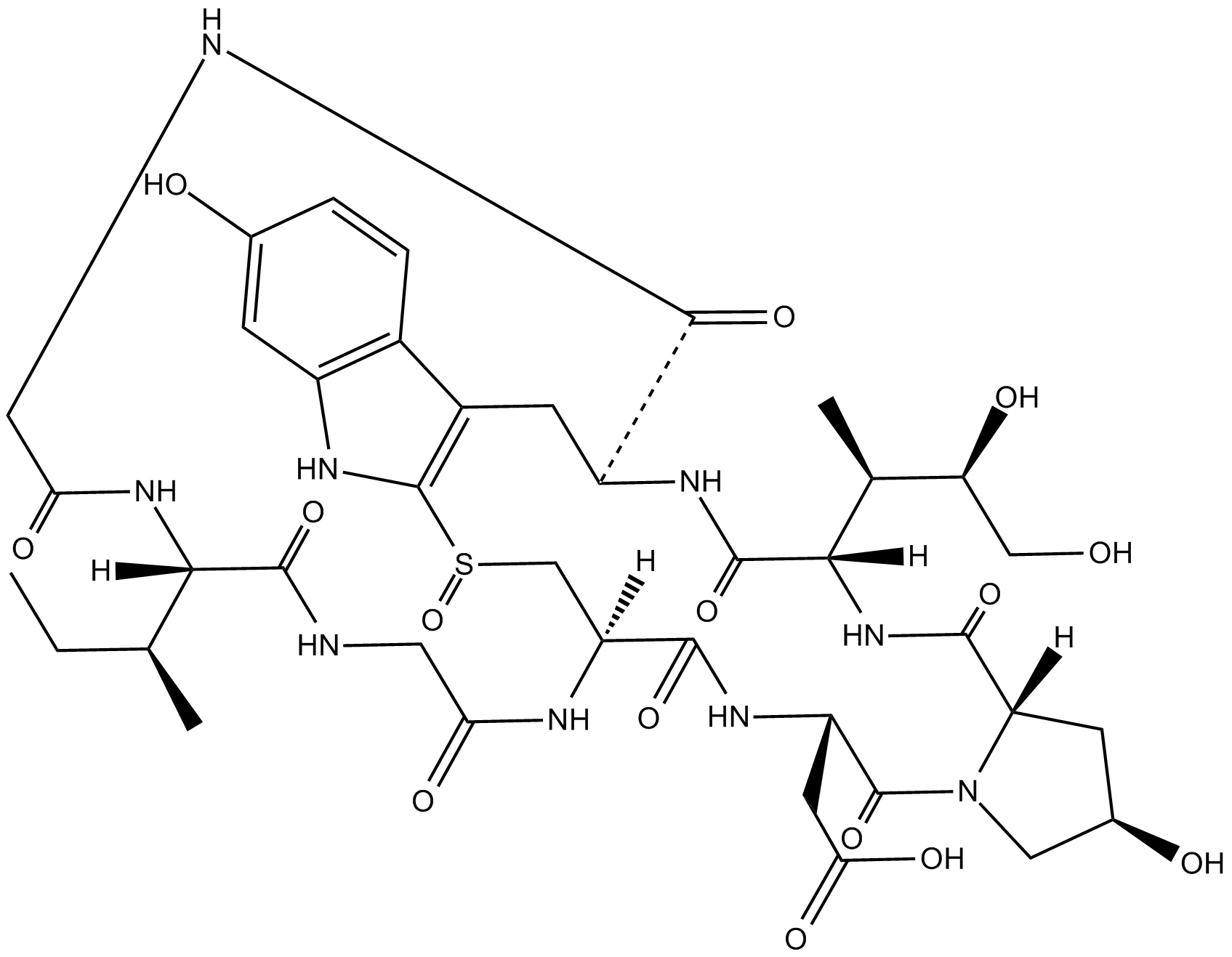 β-Amanitin