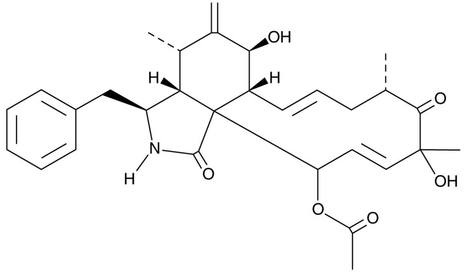 Cytochalasin D