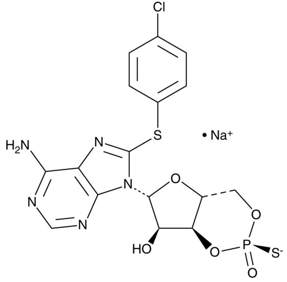 Rp-8-CPT-Cyclic AMP (sodium salt)
