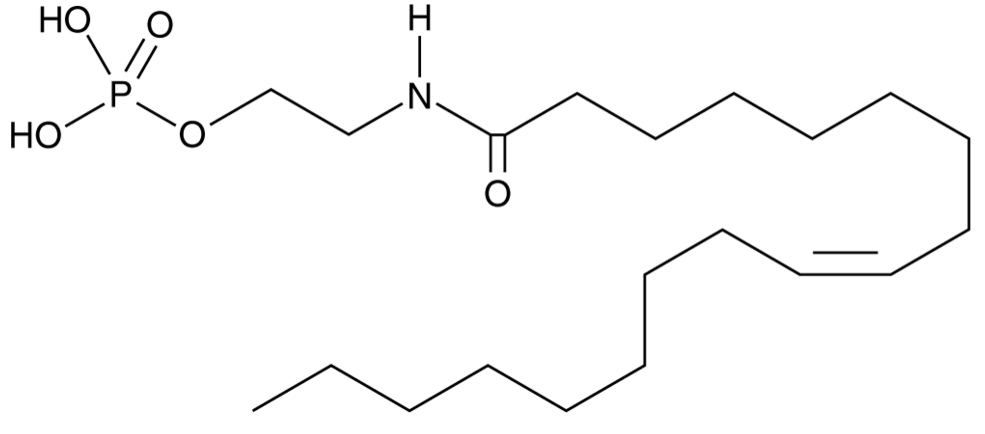 Oleoyl Ethanolamide Phosphate
