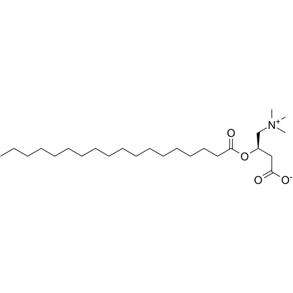 Stearoylcarnitine